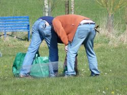 Baumpflegeaktion  2010 29